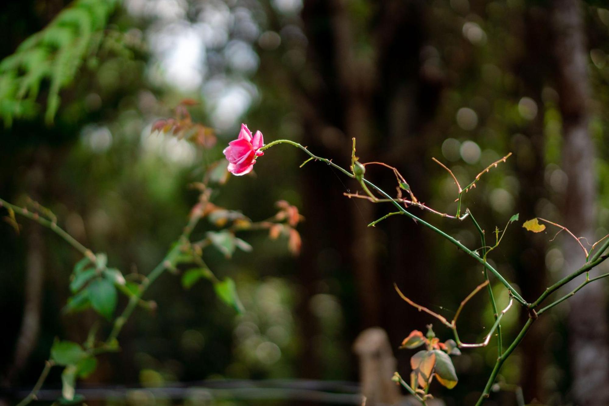 A Little Home Mang Den Kon Von Kla ภายนอก รูปภาพ